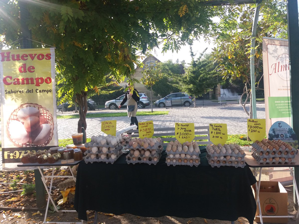 Jmores's tweet photo. #plazachileperú @chelomplz Huevos de campo! #FelizSabado https://t.co/Q0QRhstlPF
