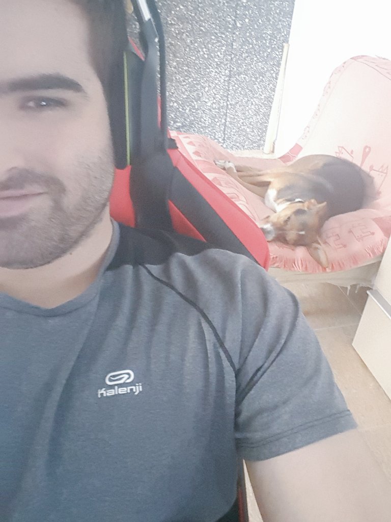 TheBraxXter's tweet photo. Penny está agotada... bueno... siempre lo está 😂 https://t.co/69SGInbqwv