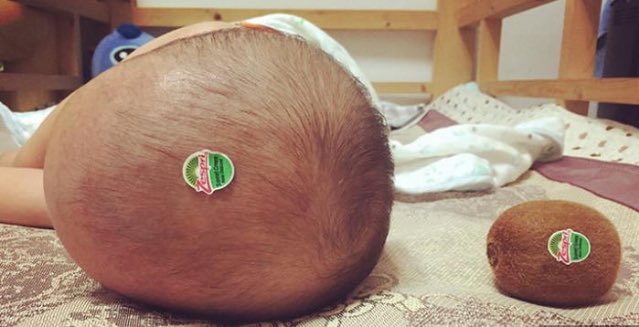 marley_ok's tweet photo. Cuando somos bebes, estamos a una etiqueta de ser kiwis! https://t.co/hEaMS5hWje