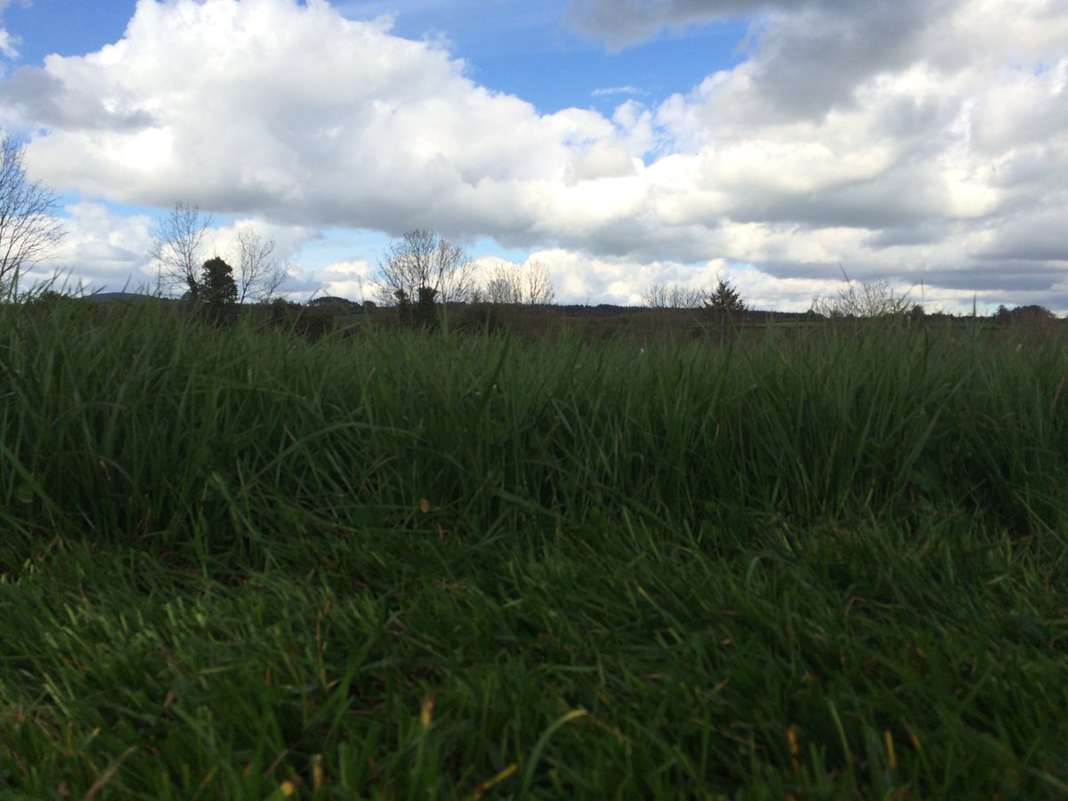 Brklydairysol's tweet photo. @leahystevie rocket fuel #zerograzedgrasstomilk #teamdairy #spring16 #2ndrotation 👍👍😜😜🍀🍀@conorcasey1 https://t.co/h1Q2u4CKE1
