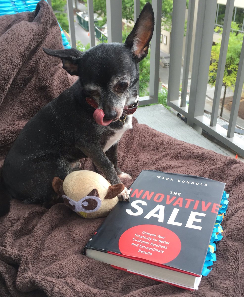 JaimaElaine's tweet photo. Oscar's licking his chops over #TheInnovativeSale @SalesGlobe concepts w/ @hootsuite #Owley #socialselling #MADTech https://t.co/DPPvUAPxOR