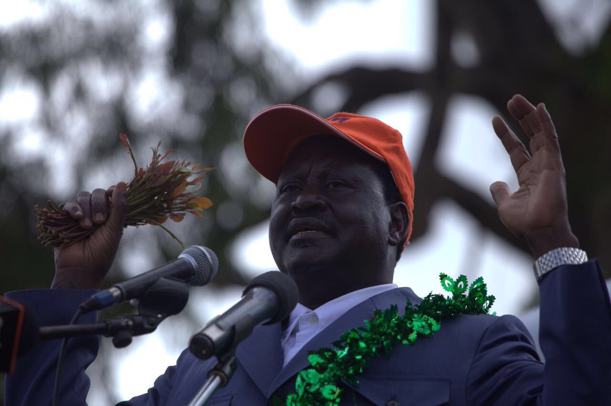 Meru needs markets not subsidies for Miraa. This is the promise of an ODM government.