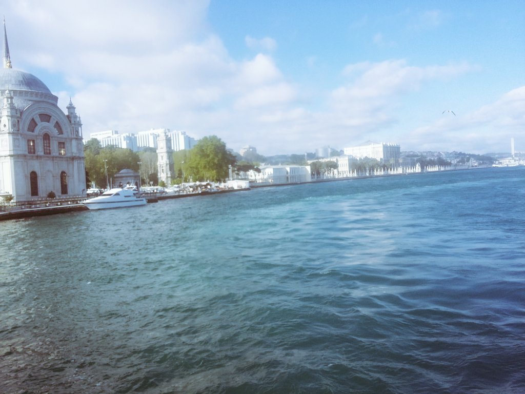 Oysa can, yemin olsun yanağımdan süzülen denize 
Ben bu şehre yüreğimi içirmedim