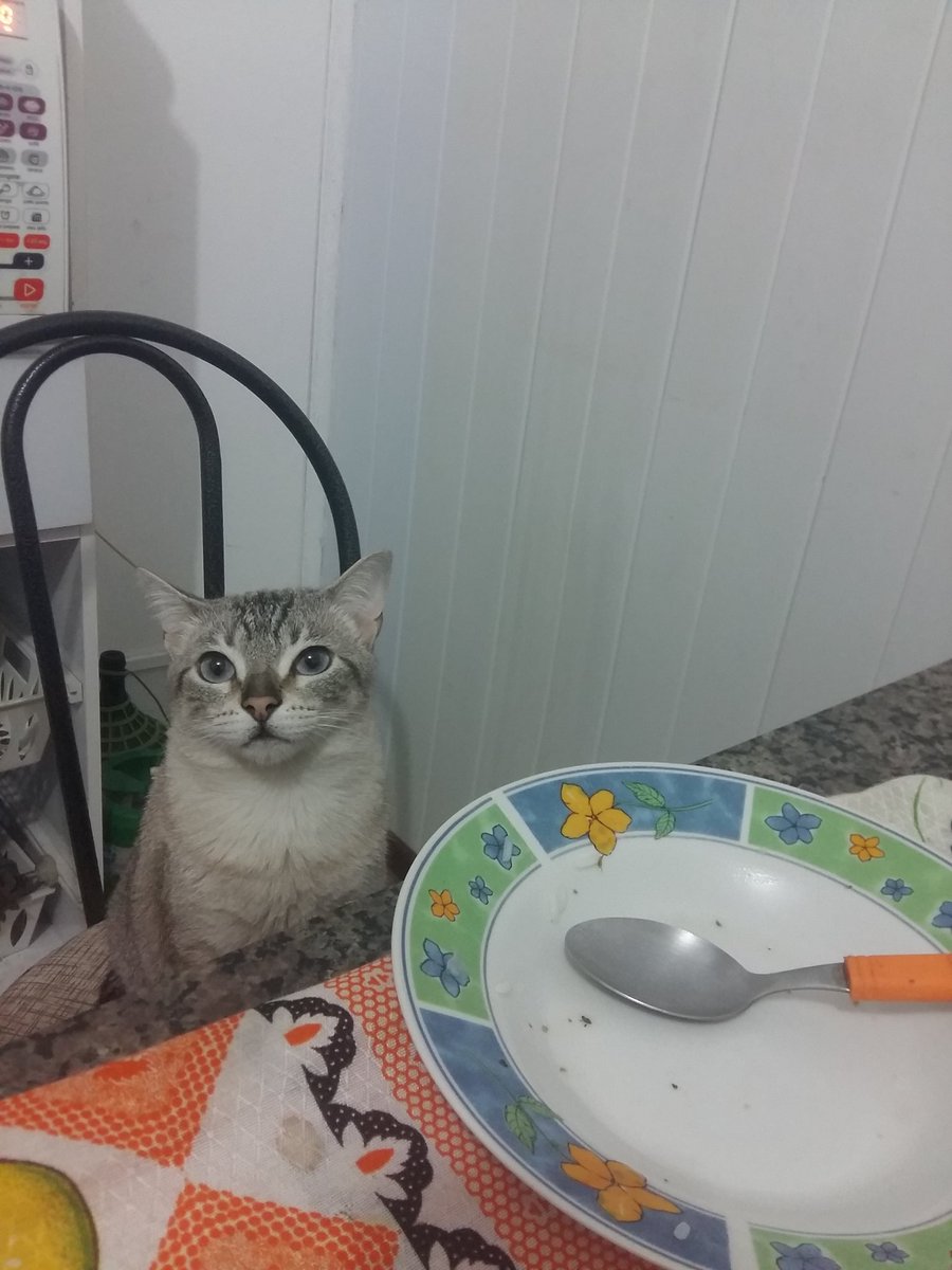 wtfmiu's tweet photo. quando o almoço atrasa https://t.co/eOqsraipx1