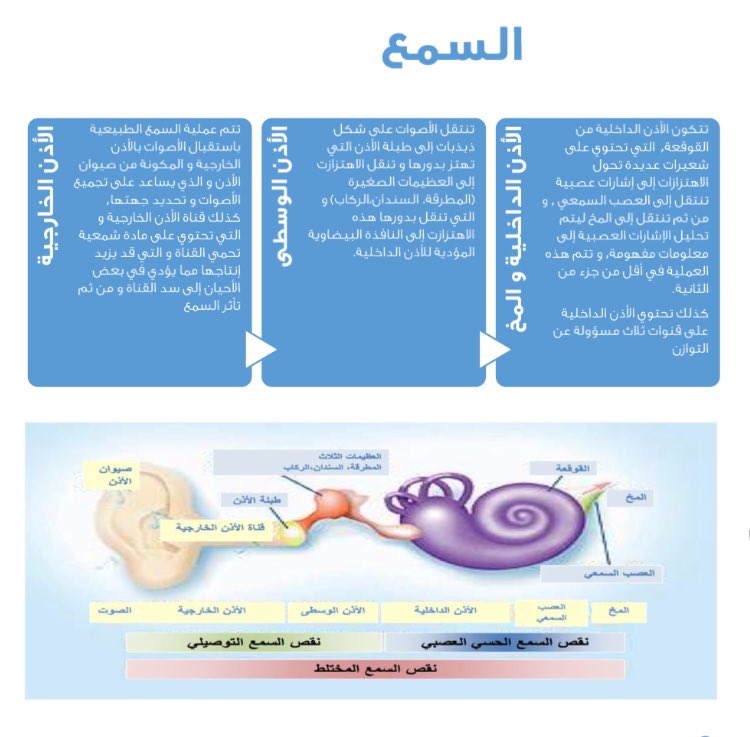 يعتبر السمع من الحواس الأساسية للتواصل، حيث يبدأ من الأذن و ينتهي بالمخ.

#توعية #طب #معلومة #السمع