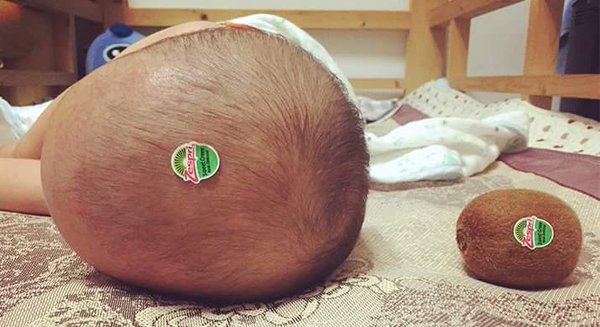 StumblerTop's tweet photo. something i'd do if i was a parent 😂 https://t.co/WTj6AY30xT