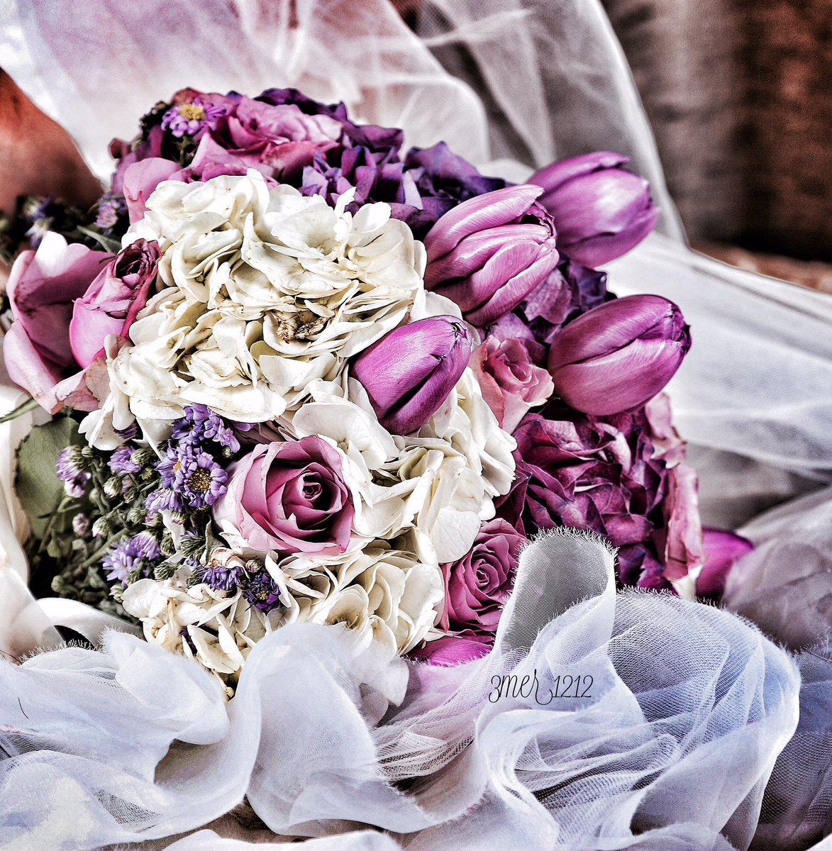 3merSaeed's tweet photo. اجمل الأوقات دائما تكون نهايتها سعاده 
#صورة #السعودية #الرياض_الآن #الرياض #دعم_متابعه_رتويت #رتويت #photography https://t.co/pfrmhp5294
