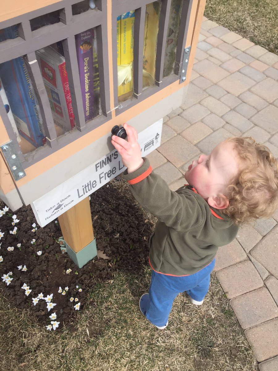 FinnsLibrary's tweet image. Finn&apos;s little brother is almost tall enough to peek inside our #littlefreelibrary 😍 #crocus bloom below, #TBay #read
