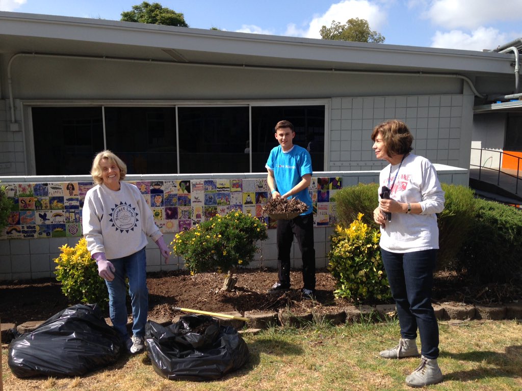 Sunset Lane FSD tweet media