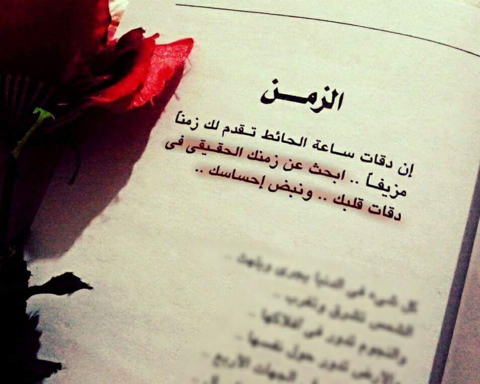 elsayed123 tweet picture