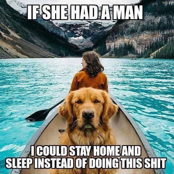 singleness's tweet photo. Save a puppy: get a wife. https://t.co/d7a5ijdqFG
