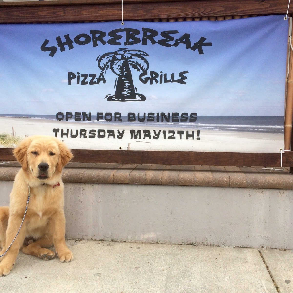 ShorebreakPizza's tweet photo. https://t.co/Vy2ydKueYV
