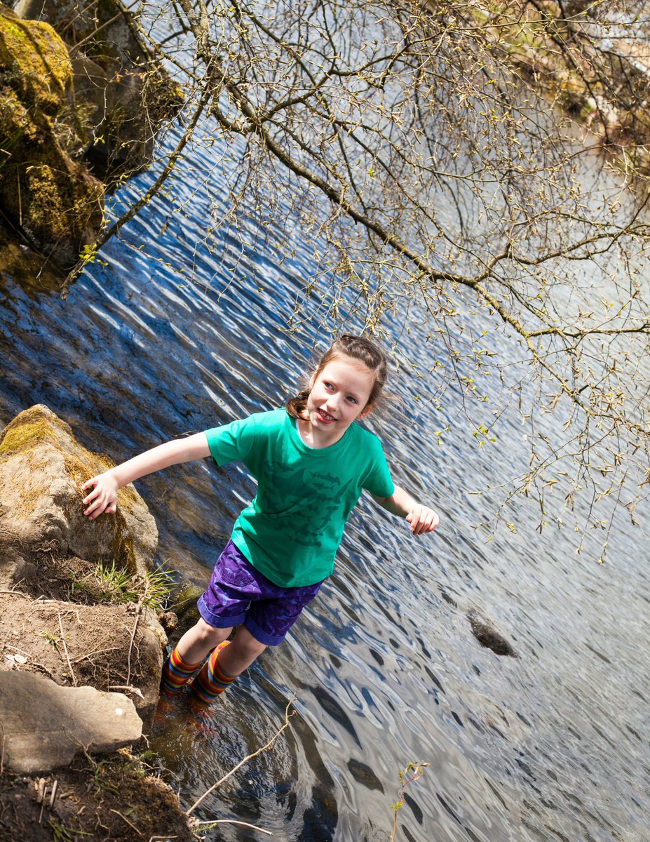 Daniel Smith tweet media