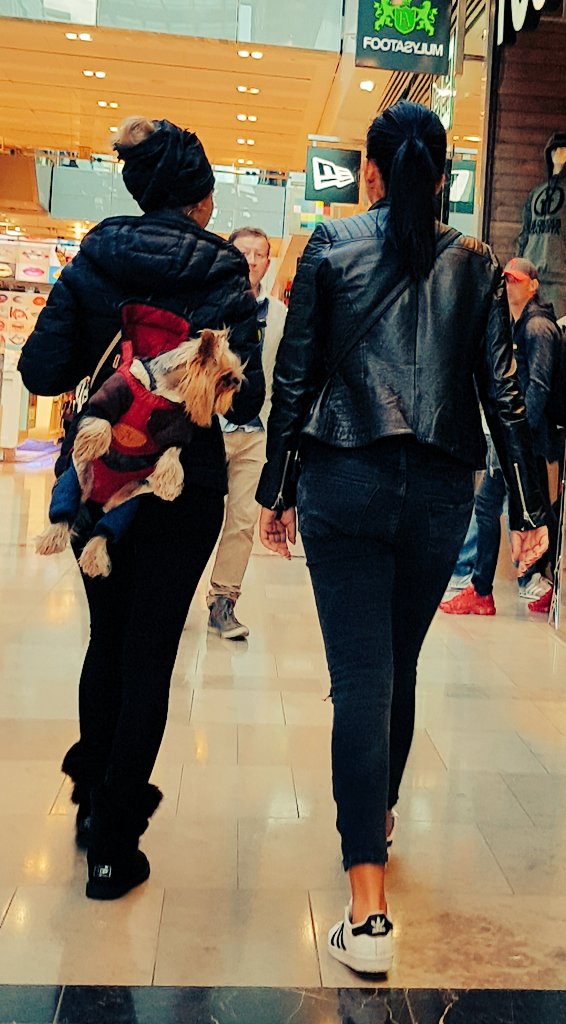 FredericBillet1's tweet photo. Will surely b my #photooftheday
#photography #WeirdLondon
#DogInBackPack shopping @westfieldstrat #Londonislovinit https://t.co/8OhNpMMXwe