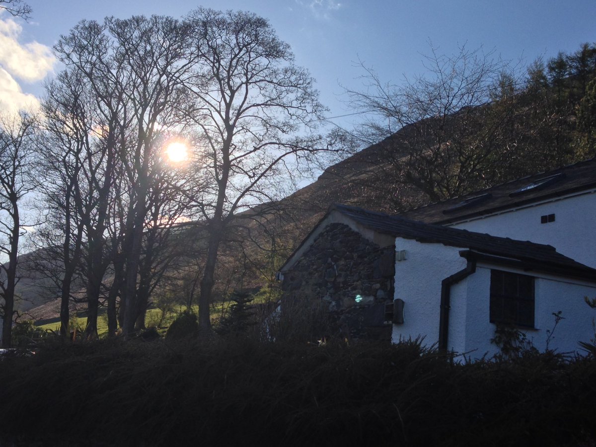 budinoffski© tweet media