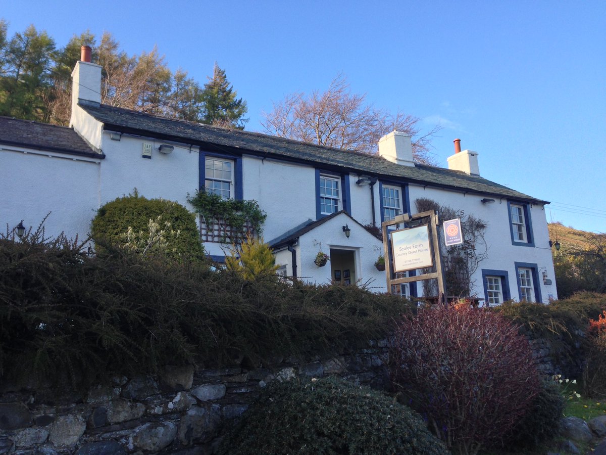 budinoffski© tweet media