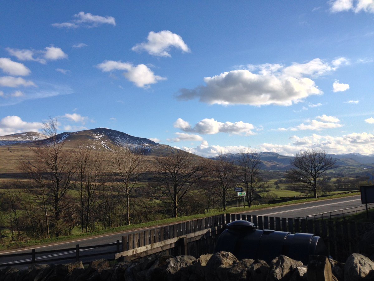 budinoffski© tweet media