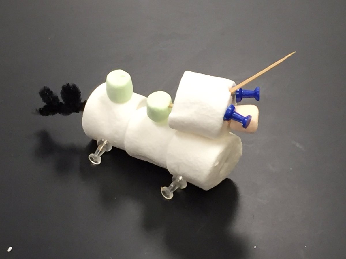 CarrScience8's tweet photo. Biology - Reebop lab. #gcjhspride https://t.co/fPLqFadyUL