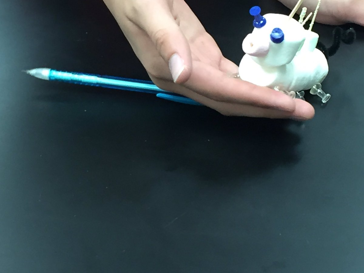 CarrScience8's tweet photo. Biology - Reebop lab. #gcjhspride https://t.co/fPLqFadyUL