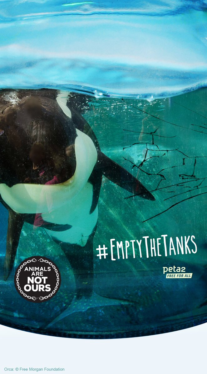 sandreti's tweet photo. #EmptyTheTanks
#FreedomIsTheirBirthRight
#Animals are #NotOursToKeep https://t.co/hQFEFPAn8A