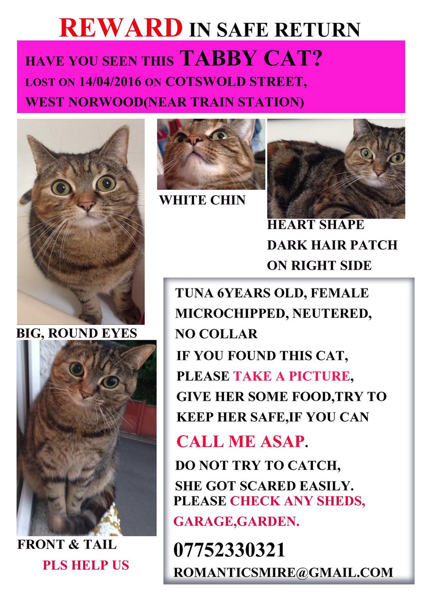 romantic_radio's tweet photo. @MistKatten @CatAwareFriends @SNARLLondon @LostboxUK @AnimalSearchUK @rspcalondonse @LostPetsRetweet @MissingPetsGB https://t.co/Yo7IKN27Kh