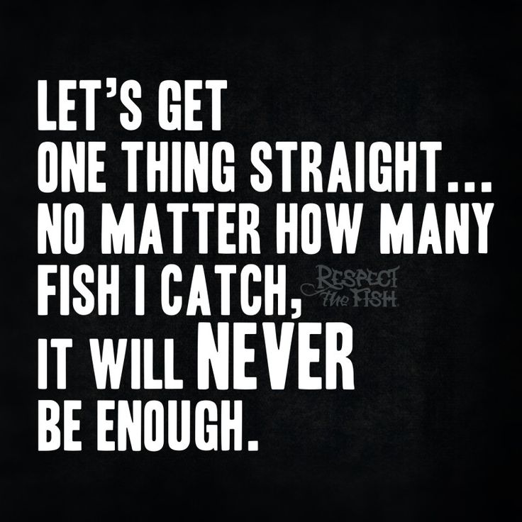 fishingmindshop tweet picture