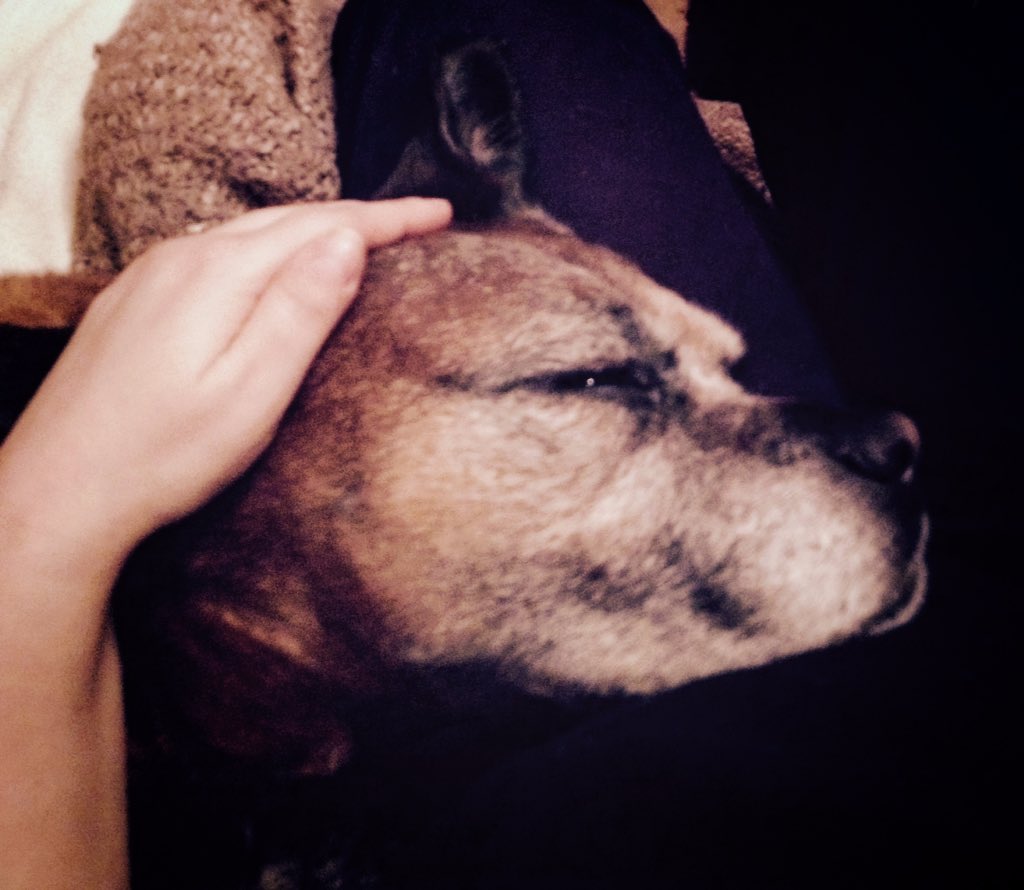 <a href="/TheDanseSociety/">The Danse Society</a> <a href="/SocietyRecords1/">Society Records Ltd</a> happy Beltane from me and my Familiar xxx