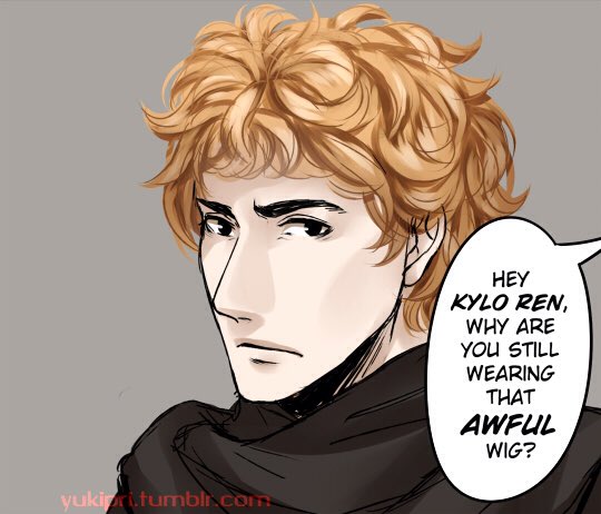 First of all -my name is Matt, although I'm honored to be mistaken for Kylo.
And my hair is neither stupid or a wig.