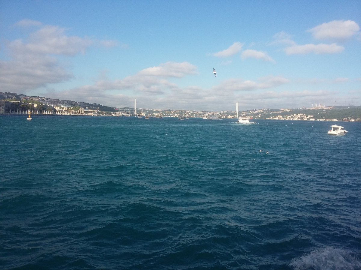 çatlayası deli yürek 'sen sen' diye atıyor 
oy gece gözlüm oy, istanbul seni kokuyor