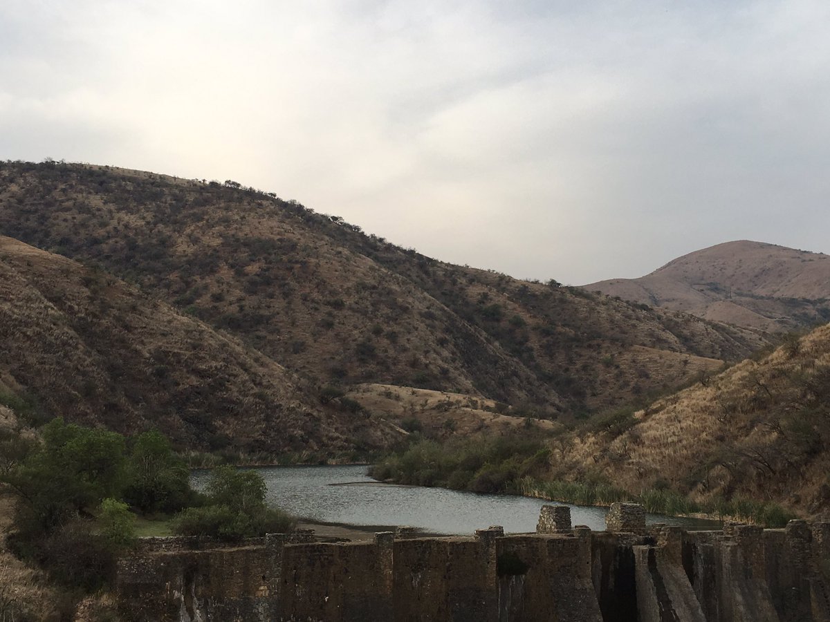 sealtielavalos's tweet photo. Agradezco a todos los que me acompañaron el día de ayer en mi informe final #SIMAPAG #Guanajuato https://t.co/ryp1Ze3NSJ