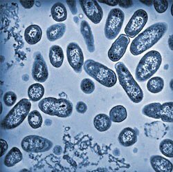 LABSPECIALIST0's tweet photo. @SSCLS @alashiri747 @Me_Laboratory @MLS_2015 @AlsulaimanA @SpecialistLab @LabSpecialist
#lab_week https://t.co/FSpcPd4eTt