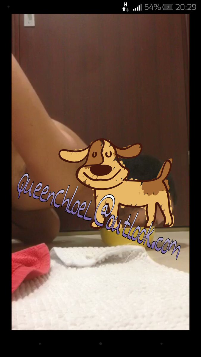 Chloe_Lovelock's tweet photo. @RTmutt mmm How's That Cereal MUTT!
After A Day Of No Food, He's On His Knees With His Head In A Bowl😂😈

#HungryMutt https://t.co/zW9IOnGu5I