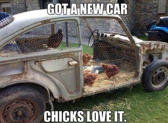 crootsfarm_shop's tweet photo. Nice car!! #saturday #newcar #chicken #eastmidlands https://t.co/FU4m5Sjdaz