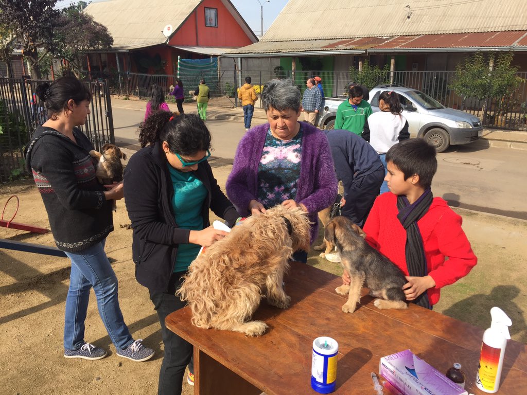 TalcaJuntoaTi's tweet photo. Operativo canino en sector rural de Mercedes. Seguimos #AvanzandoJuntos https://t.co/62tspYlDS6