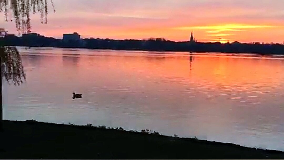 CherylCaShdoLLa's tweet photo. @mrsg3i such a beautiful sunset, Sylvie! 
❤😊🌞 
https://t.co/DGBsyALip8 https://t.co/iuMS4gmofQ