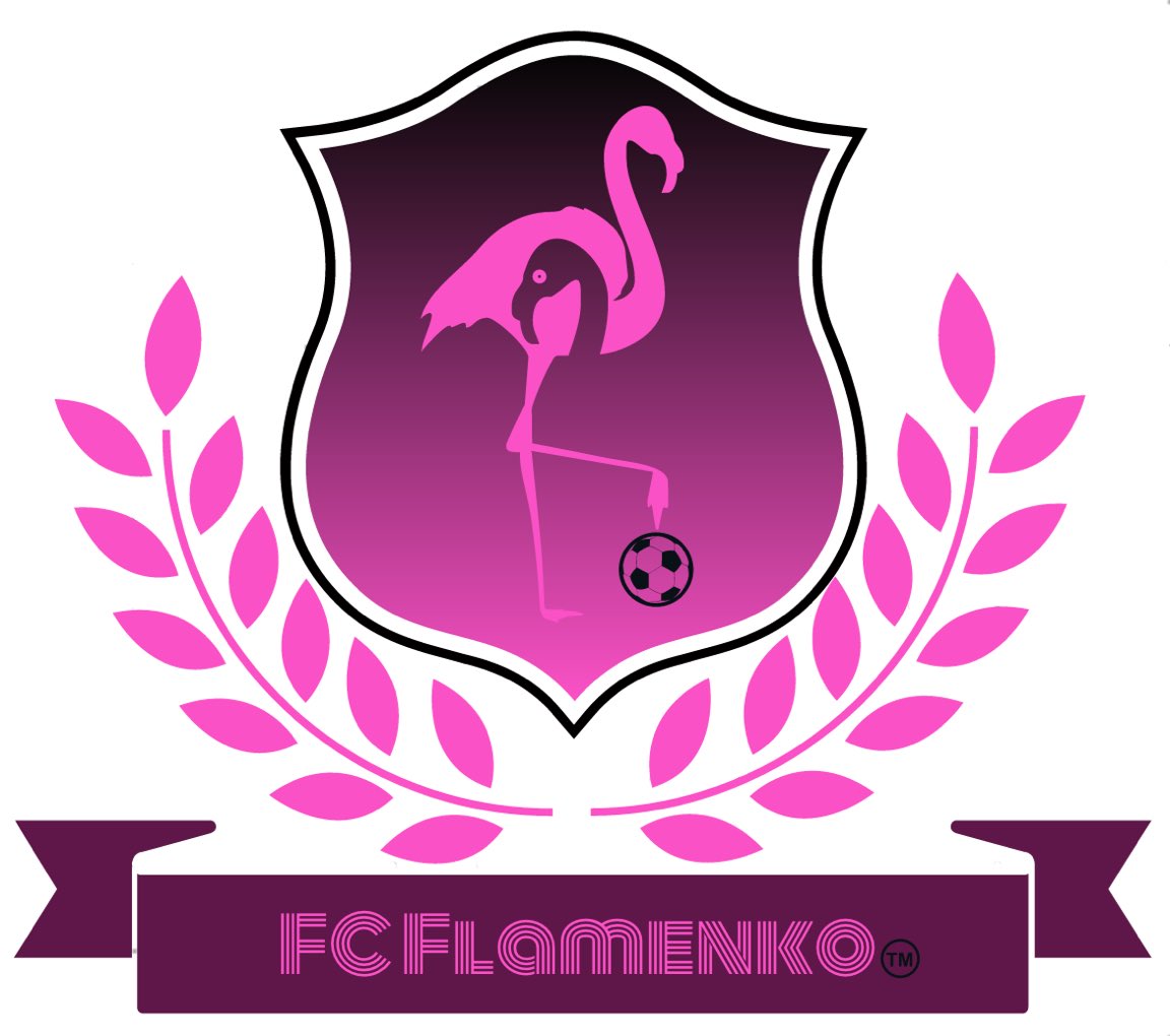FCFlamenko's tweet photo. Shoutout to @TalebRami for the design #VamosFCF https://t.co/hYpfLr6js3