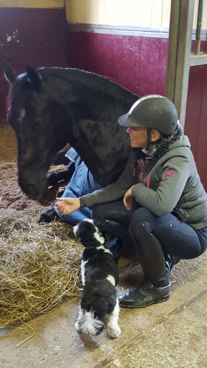 vandijkdebbie's tweet image. Vroeg naar bed! Morgen weer op pad met 2 paarden subtop in Velddriel!! #inter1 #psg