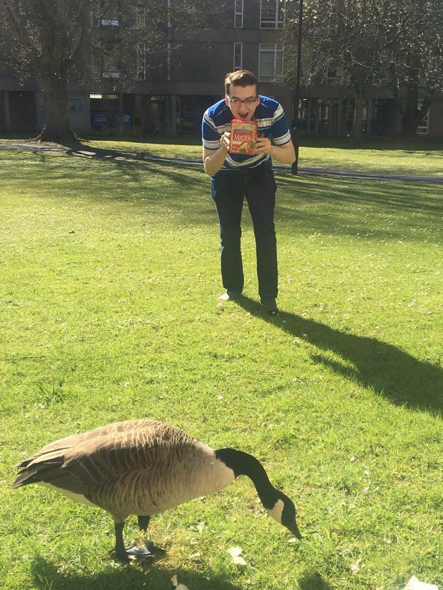 YorkJSoc's tweet photo. Converting the geese by feeding them matzo #Passoveroncampus #matzo #nom https://t.co/gAzClbwUX8