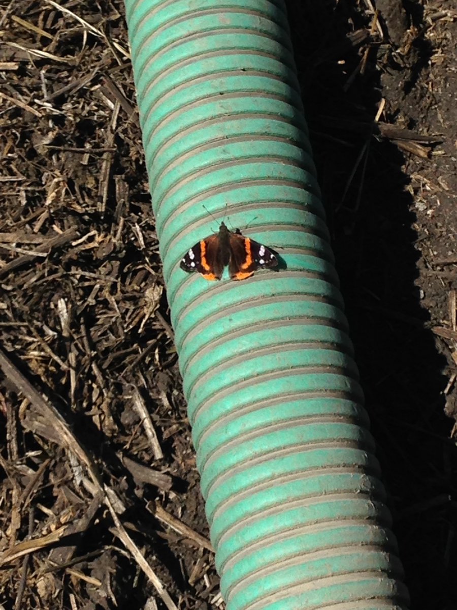 Warming up on the UAN Fill hose.
