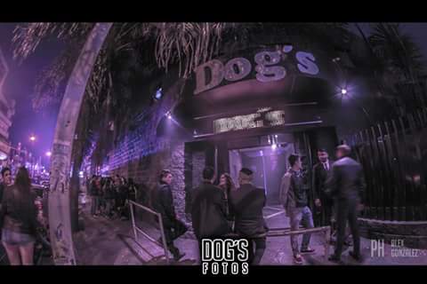 Joandett's tweet photo. Hoy #DOGS!!!!🐶
•Previa 00.30Hs, Show Streep y Barra Al Costo!!

Wsp 1567413239 o md. 🐶🐶 https://t.co/D9ZDR74Vsq