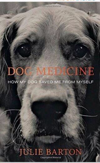 randomcnctpts's tweet photo. It's #independentbookstoreday. Try Dog Medicine by @juliebarton1111 - latest blog post at
https://t.co/JQDvUjeGOH https://t.co/gDH9vXgkiN