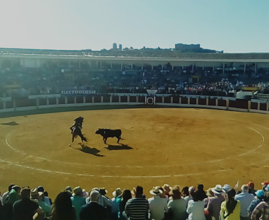 EstefaniaMasa's tweet photo. Buena tarde nos ha hecho pasar @DiegoVentura82 eres un genio!! https://t.co/apyJ3ASIhs