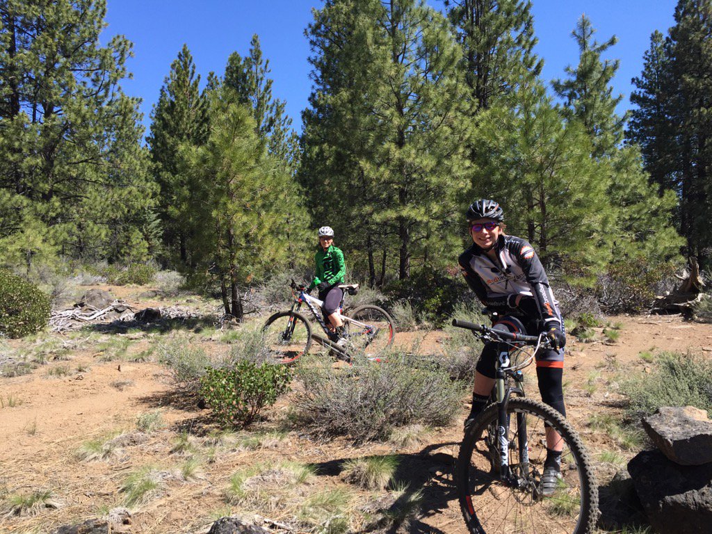 Utrek tweet media