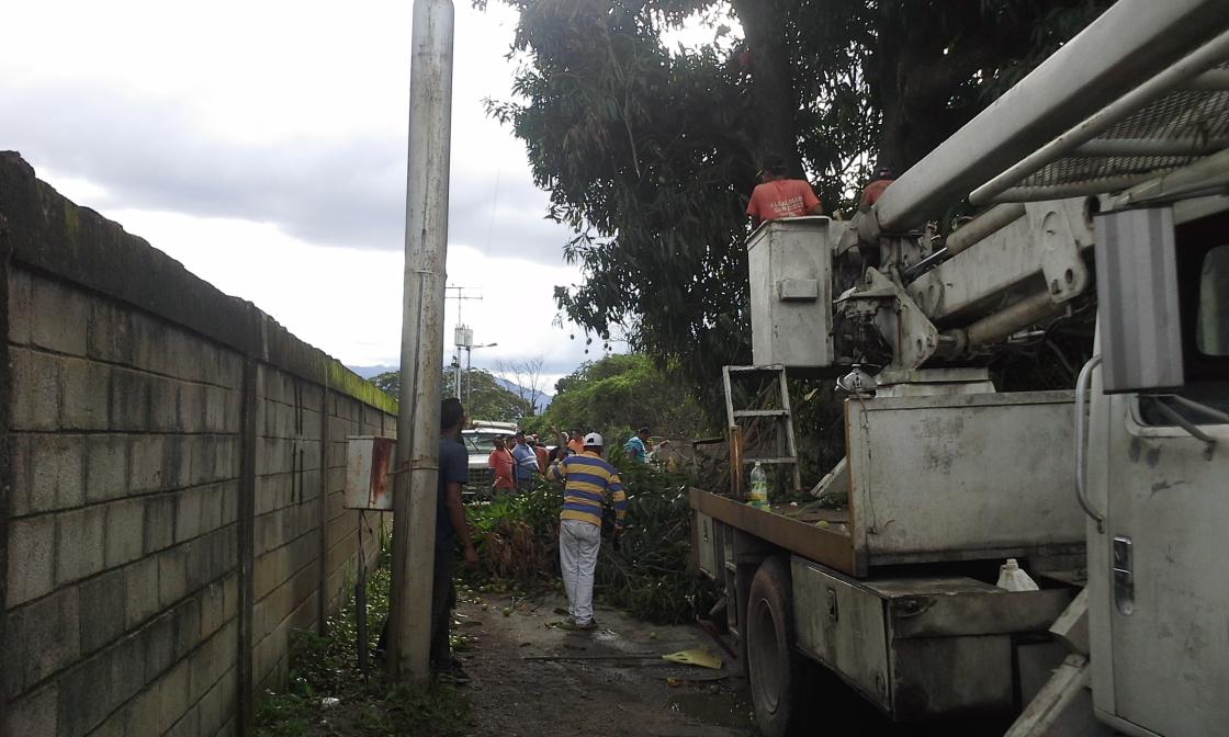 urbmanantial's tweet photo. Agradecemos a @FUMCOSANDI @CorpoelecInform @Alc_SanDiego por prestar el apoyo de podar matas que afectaba las guayas https://t.co/7qi7VUj73W