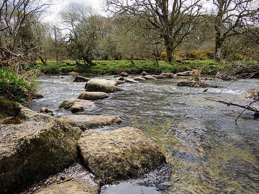 Crossed these stepping stones on West Dart River on our way up to Combestone Tor Day121 of our #Dartmoor adventure 😍