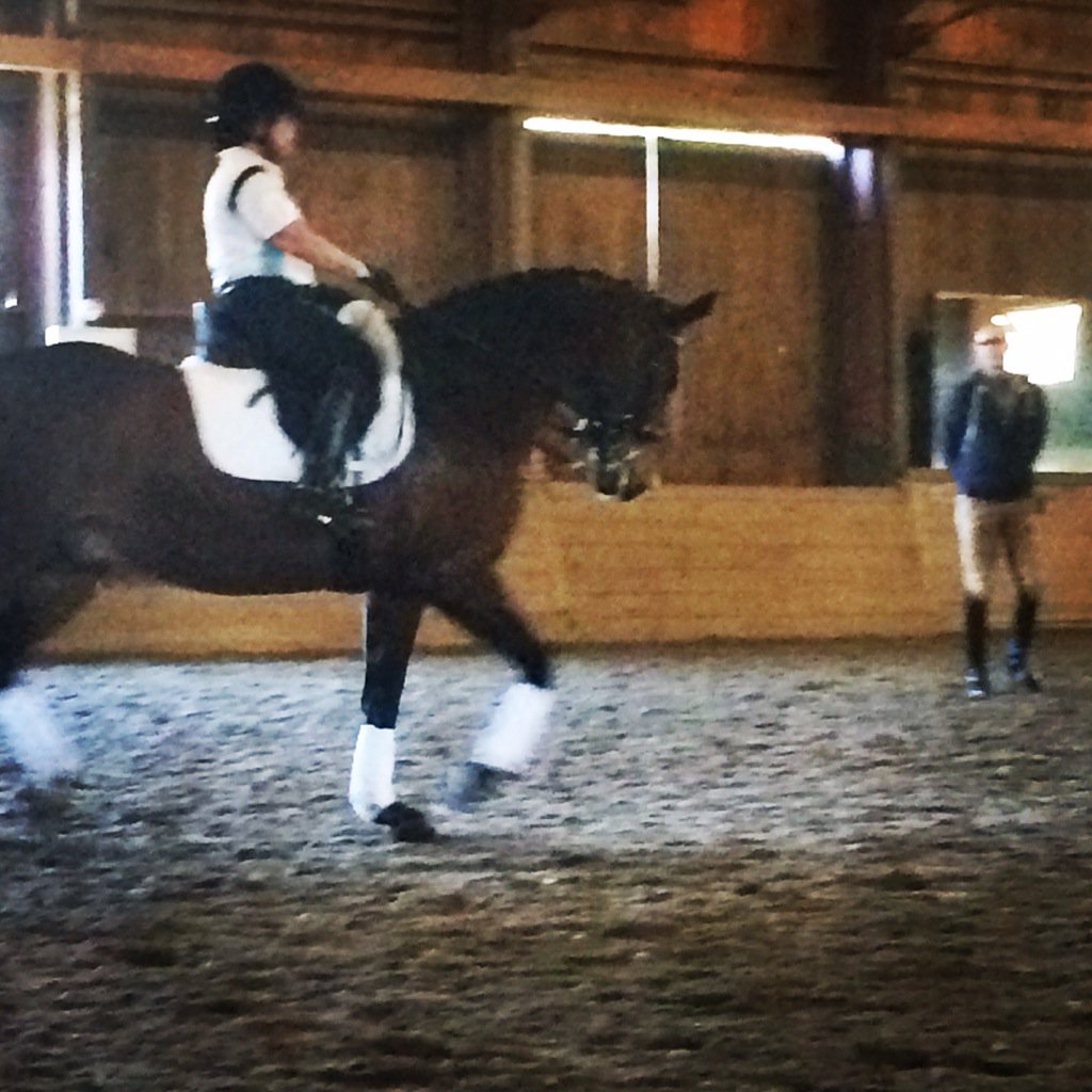 NEDADressage's tweet photo. Forward into contact: consistent theme at the NEDA Symposium with Rien van der Schaft. #nedadressage #dressage https://t.co/lbVi87Afxd