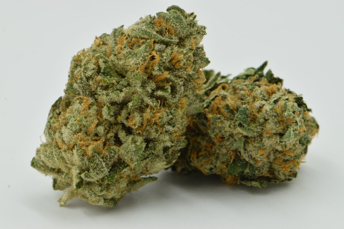 EnjoymintD's tweet photo. Brand New Sherbert! #Sherbert https://t.co/TVeMmooEvR