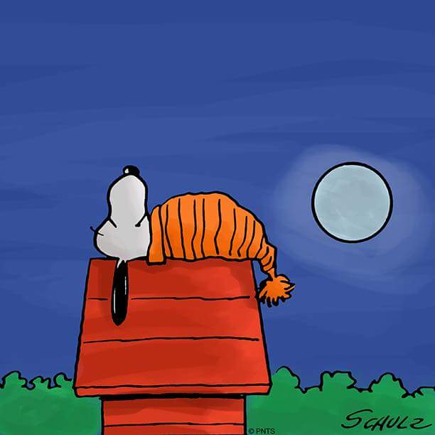 angeloinf's tweet image. Boa noite a todos e fiquem na paz que excede todo o entendimento.