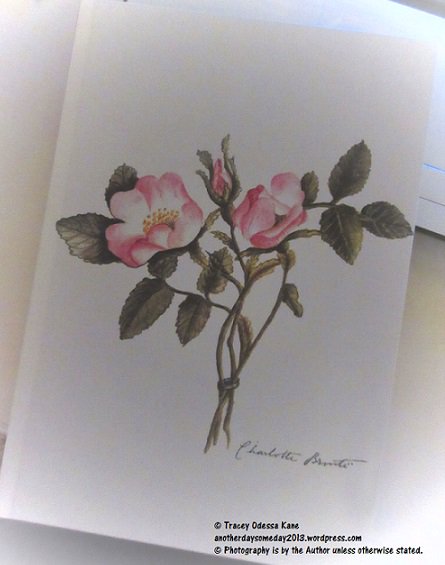 TOdessaKane13's tweet photo. Excited to start #writing in my beautiful new #notebook that my lovely hubby bought me at the #BronteMuseum today :) https://t.co/CoPjt3tEux
