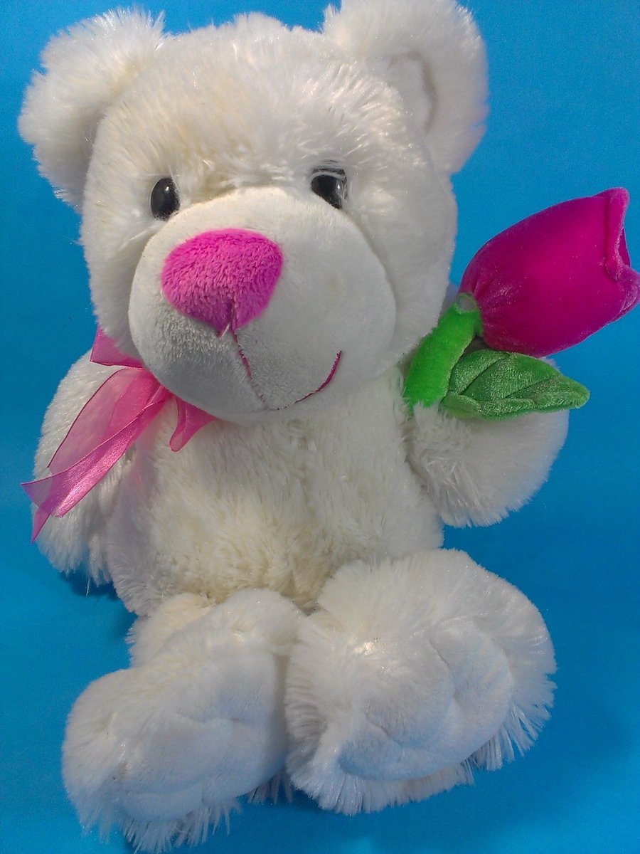 STEEL5757's tweet photo. White #TeddyBear w/ #Pink #Tulip Flower https://t.co/XAyvcUvyoj #gift #gifts #fromom #mothersday https://t.co/EQUXdhvGFs